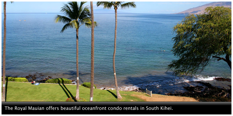 Menehune Shores offers beautiful oceanfront condo rentals in North Kihei.